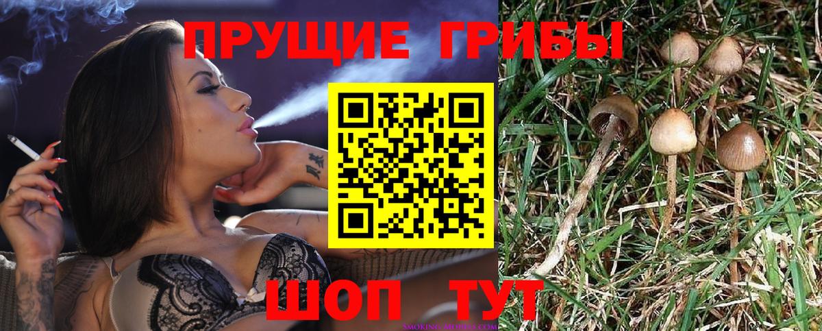 Псилоцибиновые грибы ЛСД Псков
