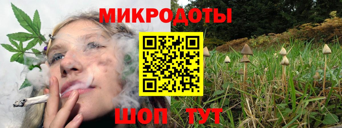 Псилоцибиновые грибы Cubensis  Вход с VPN  Псков 