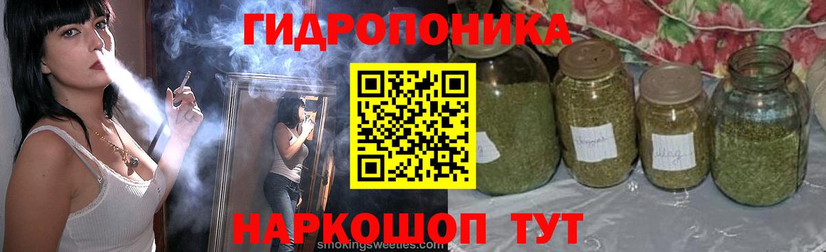 Конопля OG Kush Псков